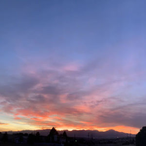 Meet your Posher, Dev